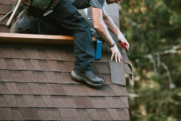 Best Flat Roof Repair Services  in Tonka Bay, MN